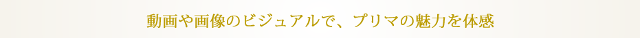 プリマファクトリー　動画や画像のビジュアルで、プリマの魅力を体感