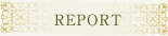 Report