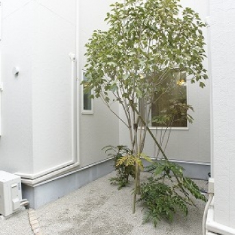 img-gallery-yakou01-18